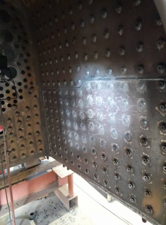 489_Oziveni2_328-011