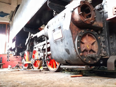 497_Oziveni2_328-011