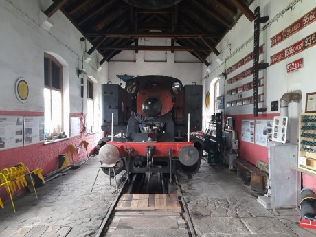 512_Oziveni2_328-011