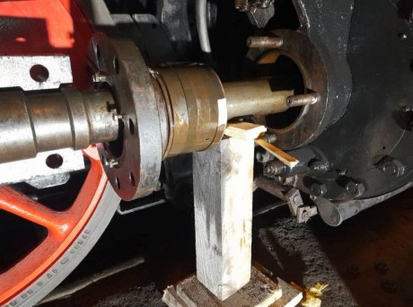 554_Oziveni2_328-011