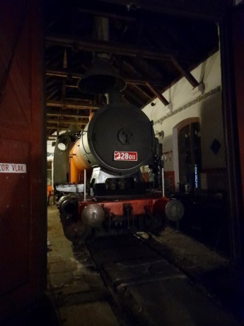 598_Oziveni2_328-011