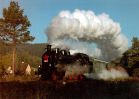 37_2009 354.195 s borovici