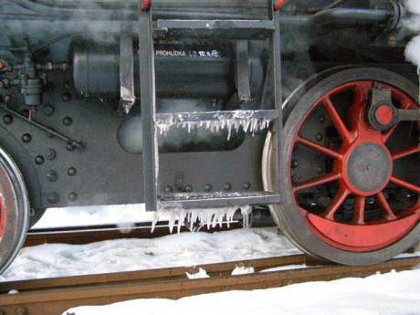 Mikuláš XVI. Choceň